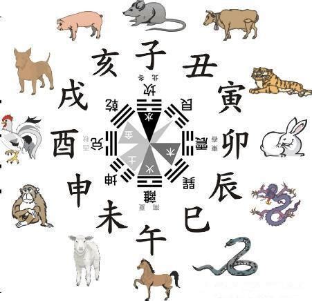 馬 五行|生肖馬者五行性格分析